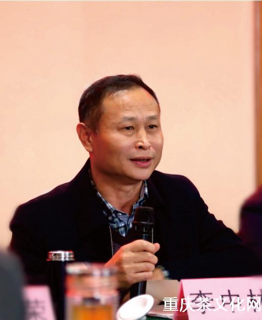重庆茶叶专家为秀山茶产业发展支招,他们都说了什么?